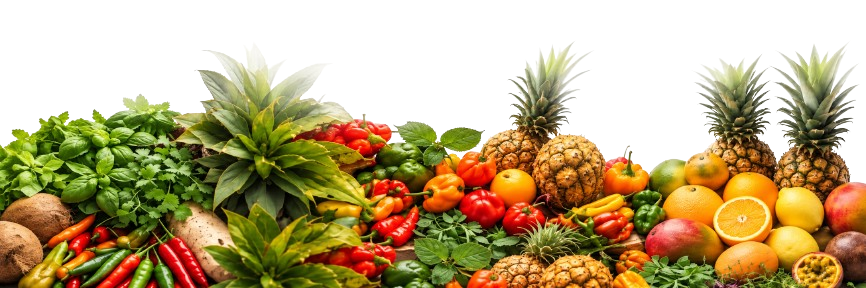 Fresh Ingredients